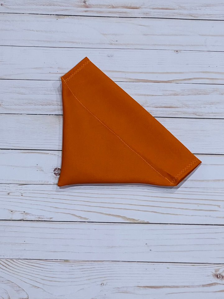 Squirrel Chaser Pet Bandana