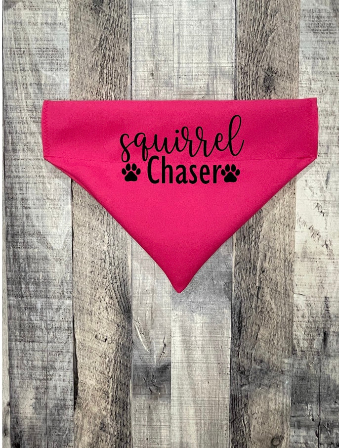 Squirrel Chaser Pet Bandana